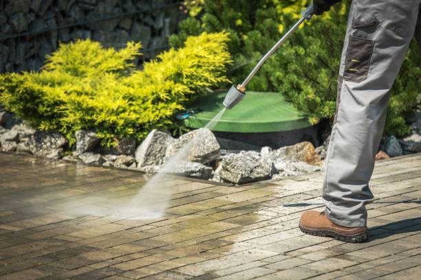 Best Roof Washing  in Dunellen, NJ
