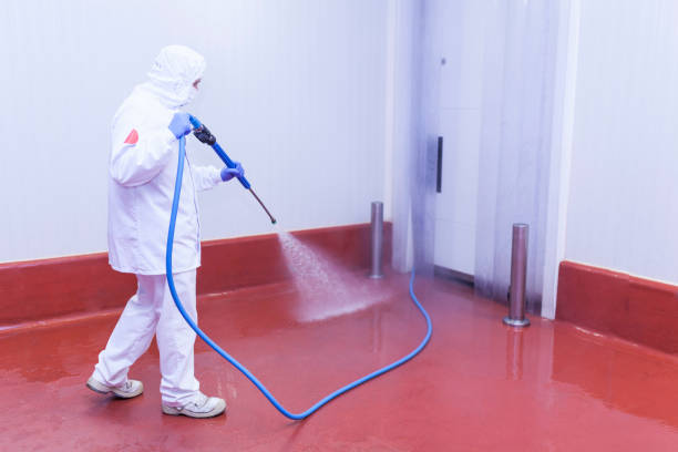 Best Heavy Equipment Washing  in Dunellen, NJ