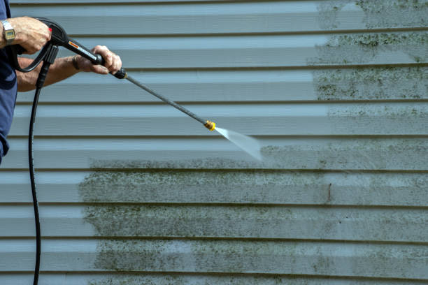 Best Solar Panel Cleaning  in Dunellen, NJ